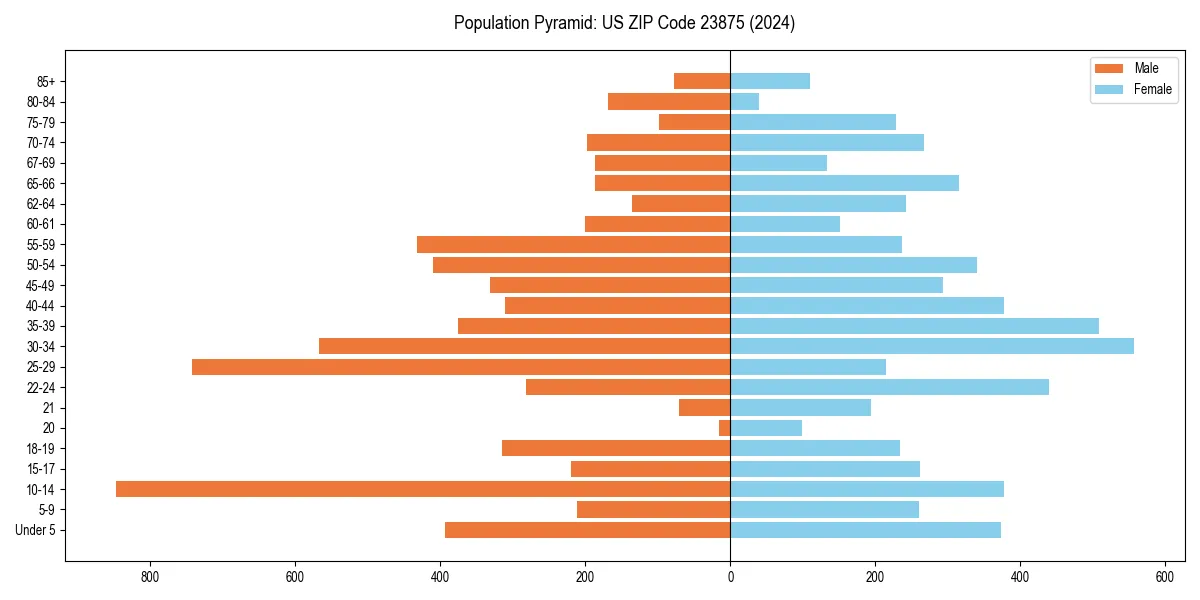 Population pyramid for 