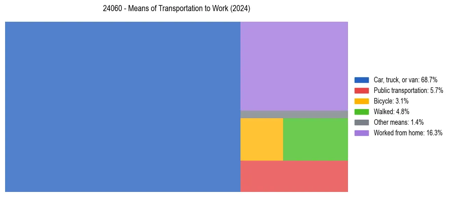 Commute modes in US ZIP Code 24060