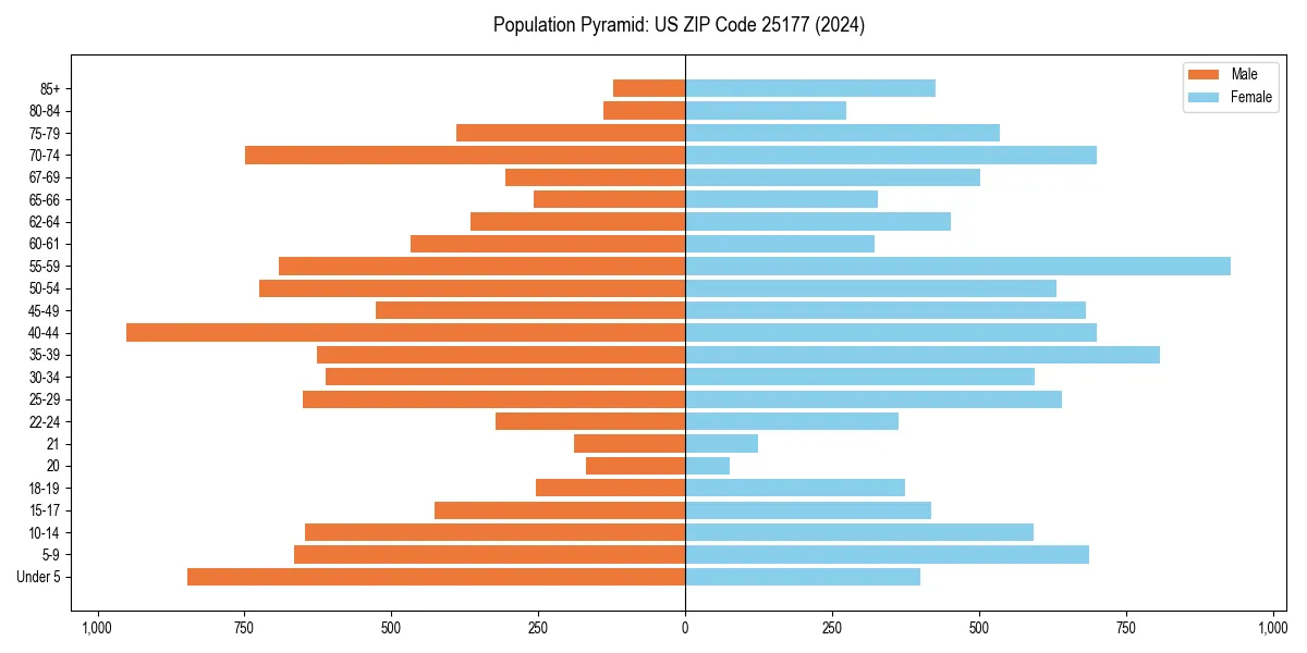 Population pyramid for 