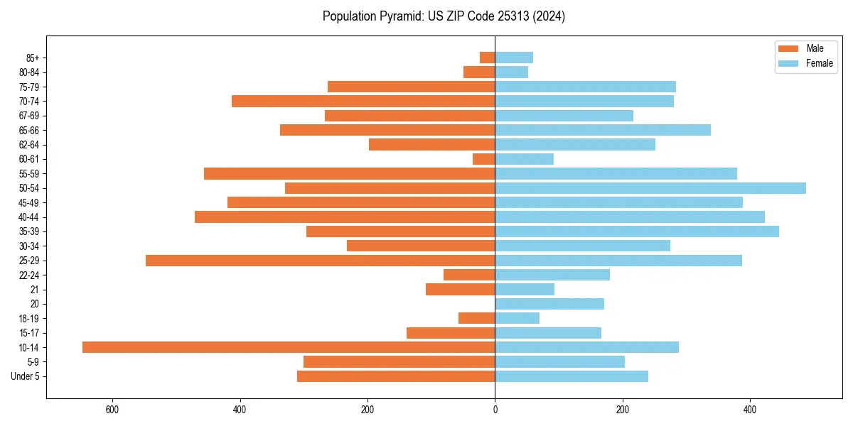 Population pyramid for 
