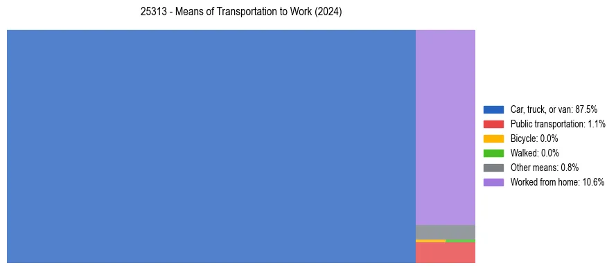 Commute modes in US ZIP Code 25313