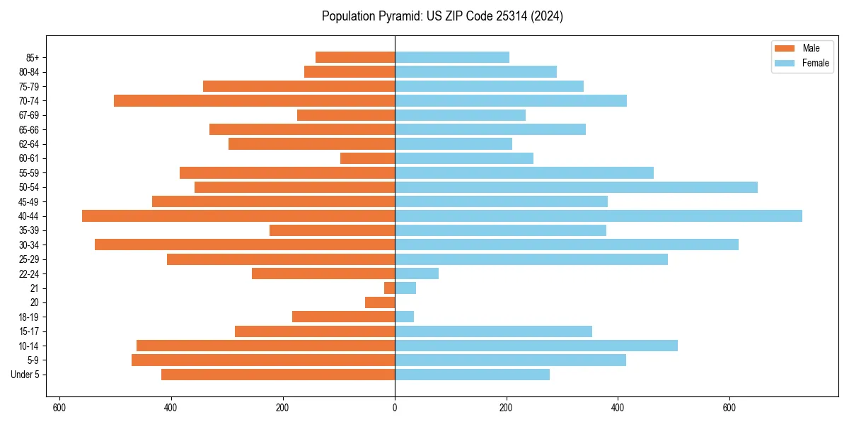 Population pyramid for 