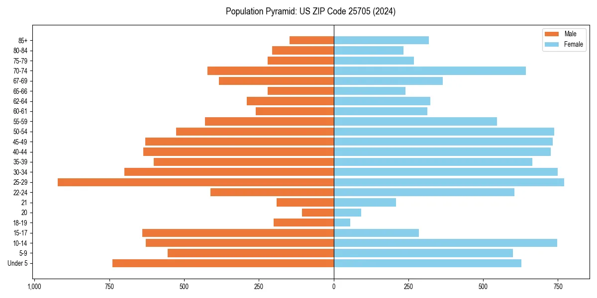 Population pyramid for 