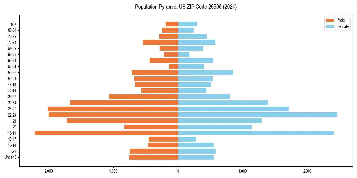 Population pyramid for 