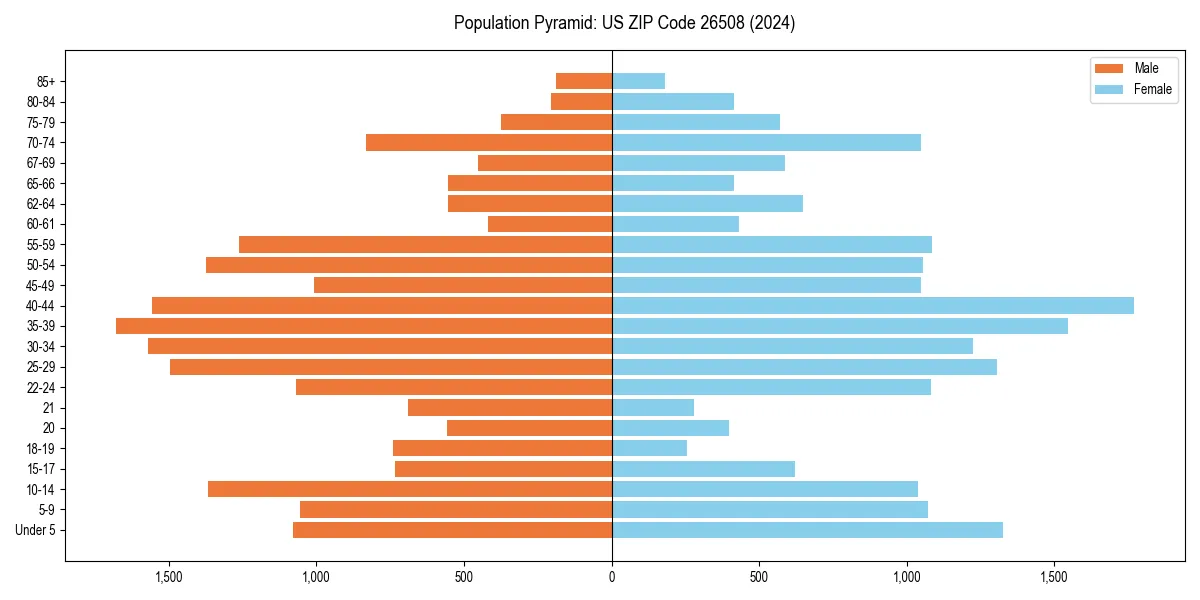 Population pyramid for 