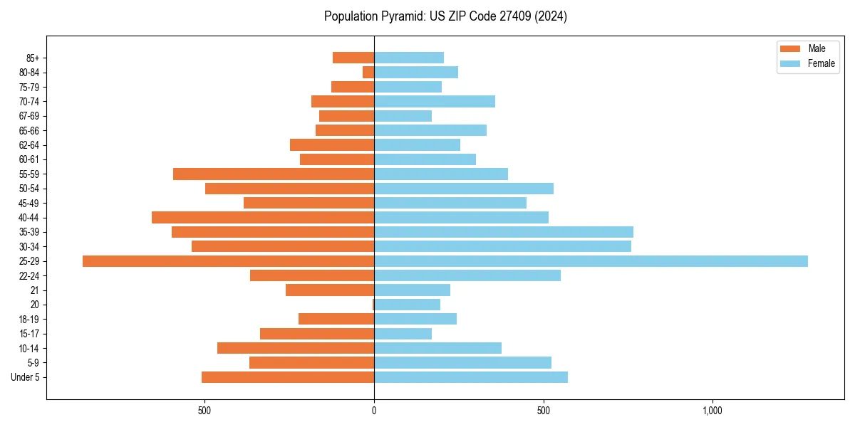 Population pyramid for 