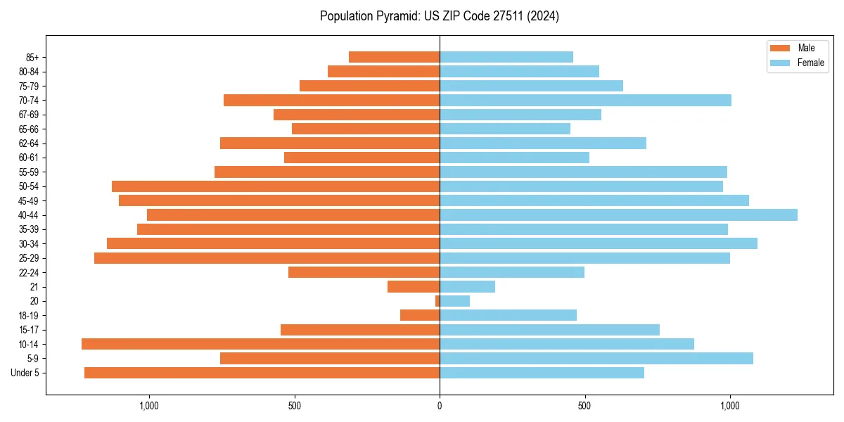 Population pyramid for 
