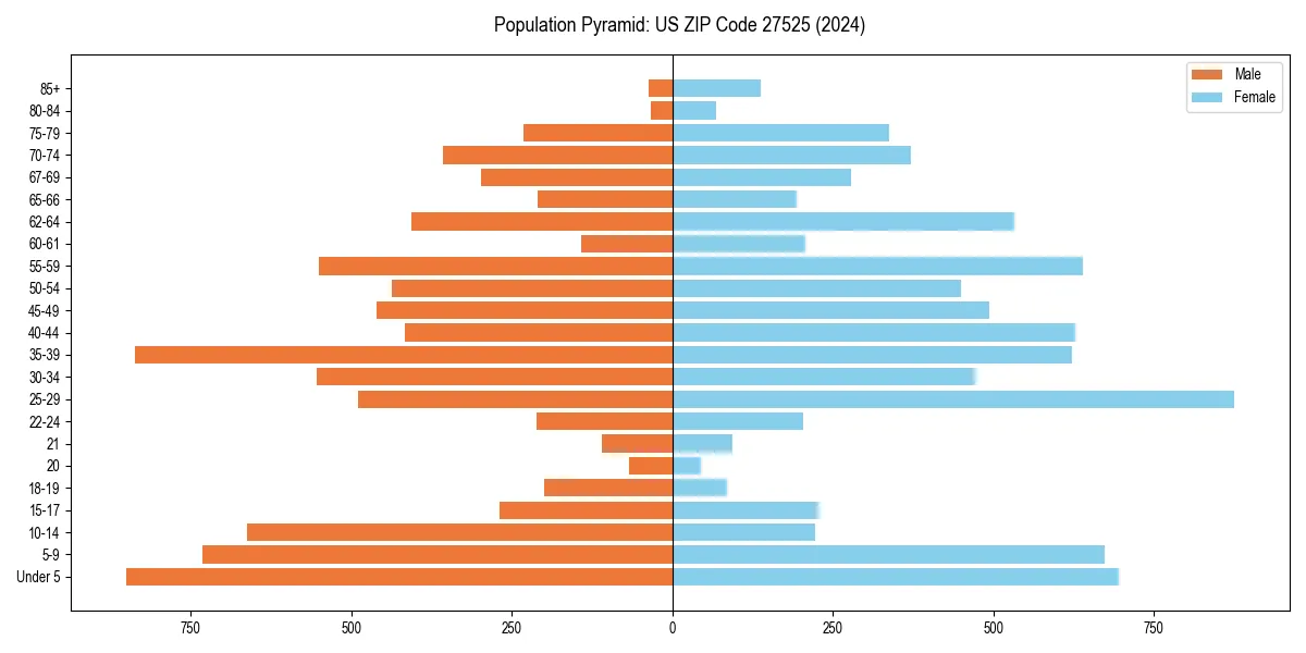 Population pyramid for 