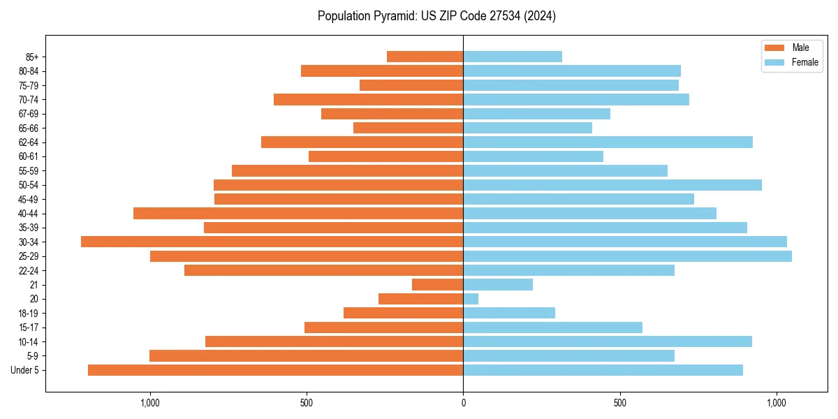 Population pyramid for 