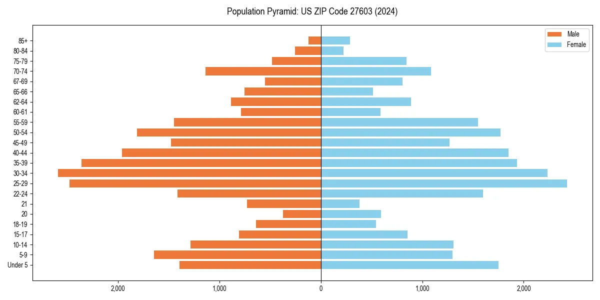 Population pyramid for 