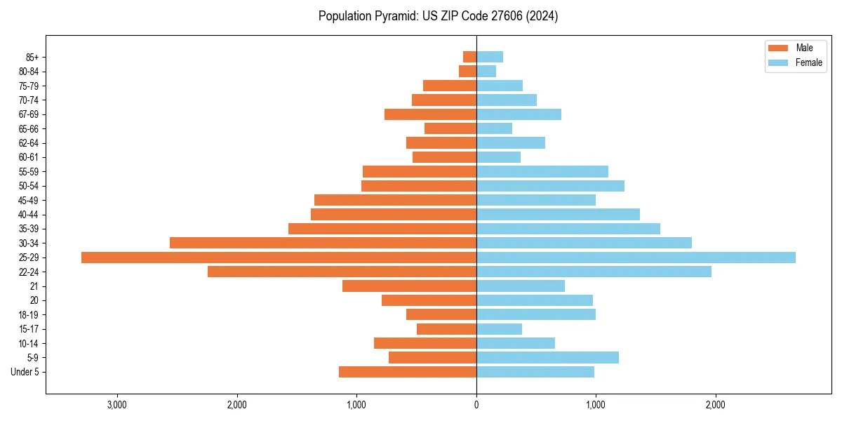 Population pyramid for 