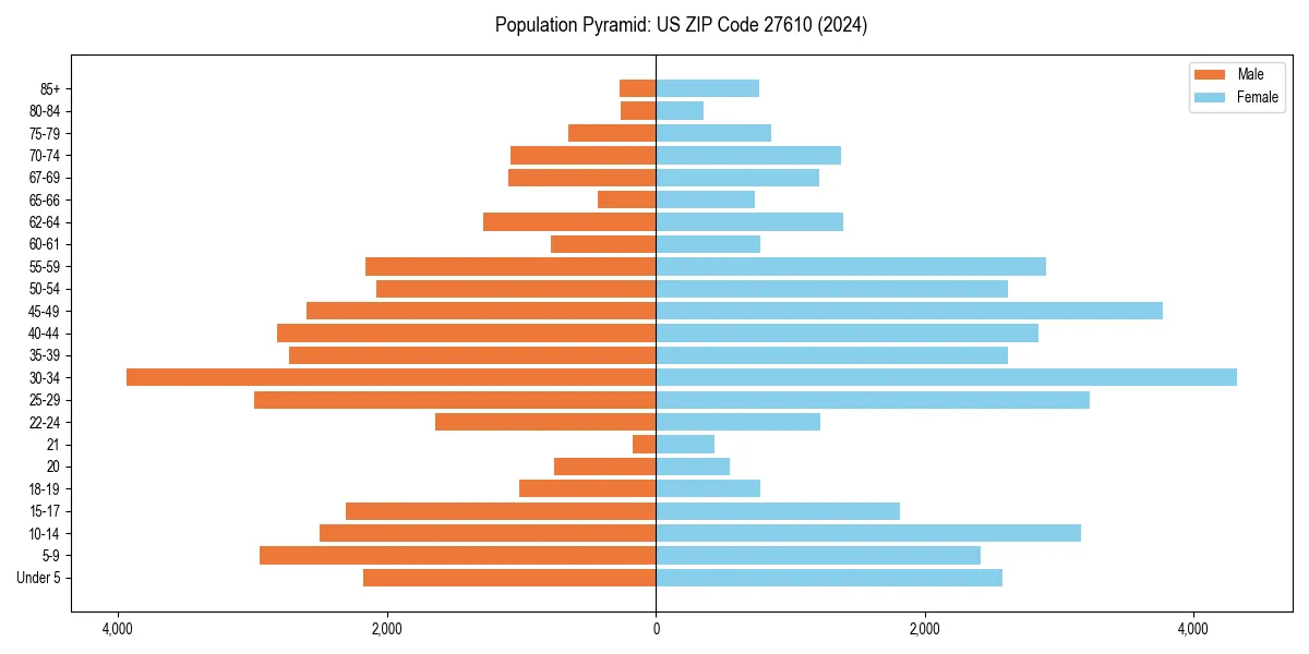 Population pyramid for 