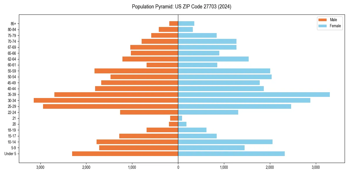 Population pyramid for 