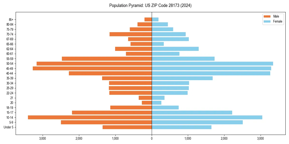 Population pyramid for 