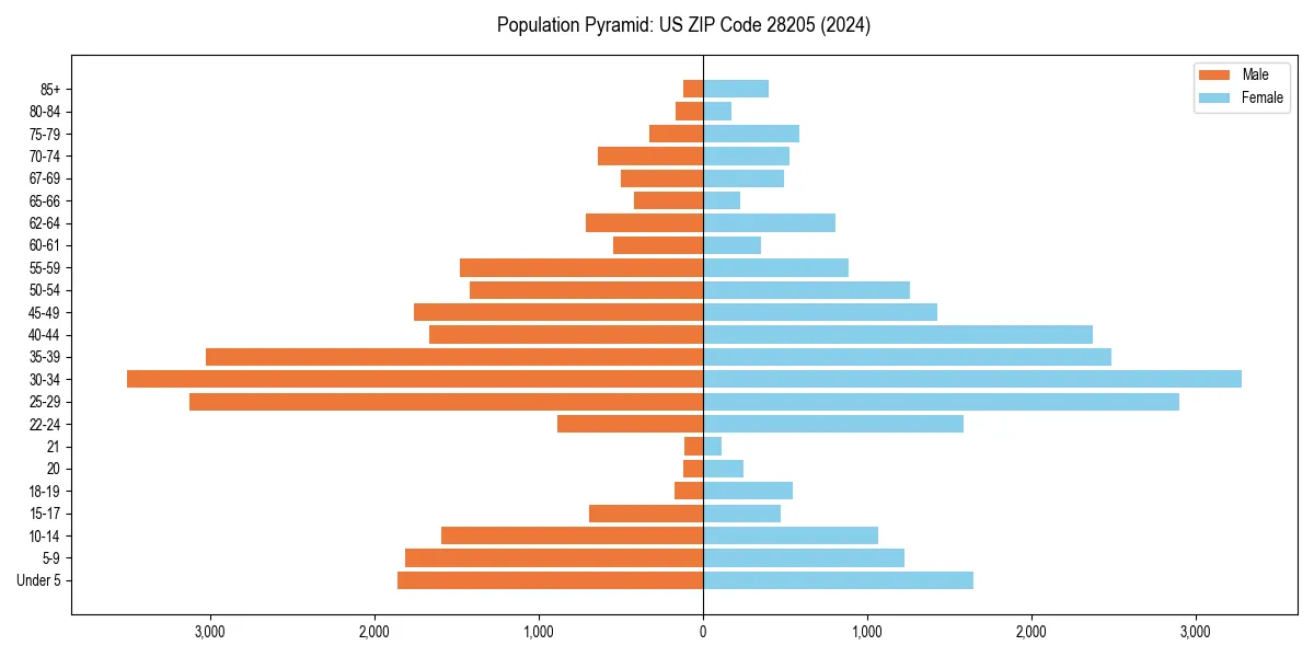 Population pyramid for 