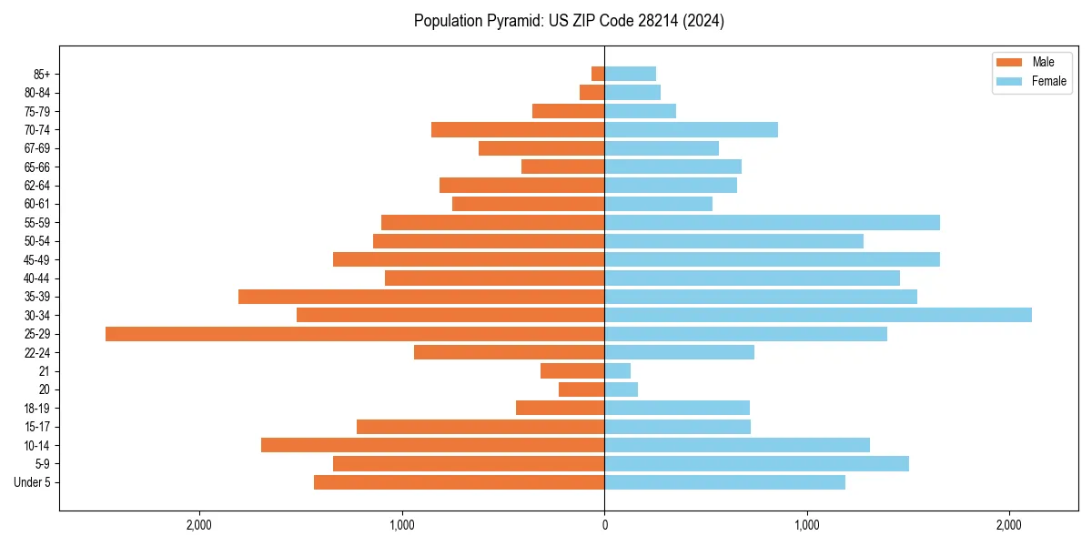 Population pyramid for 