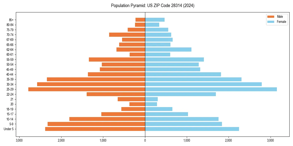 Population pyramid for 