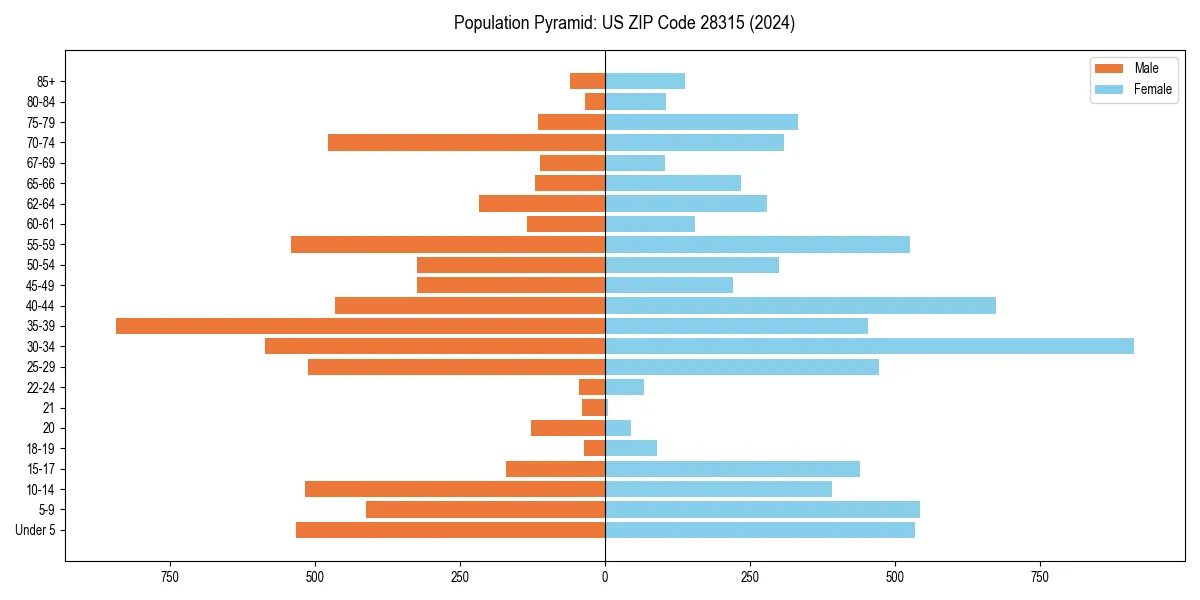 Population pyramid for 