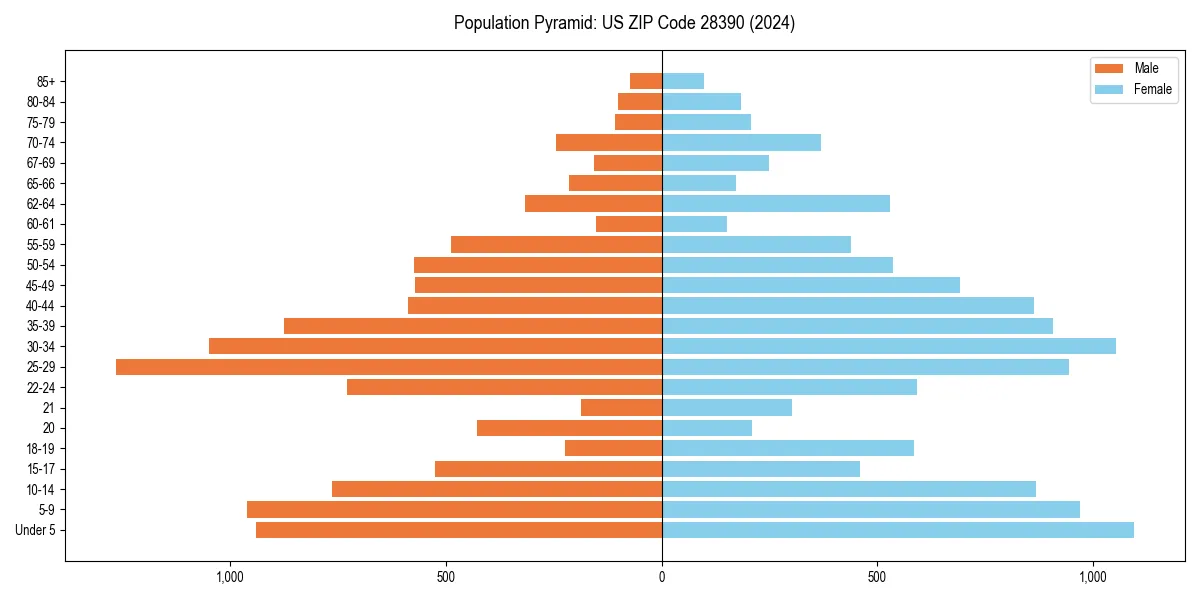 Population pyramid for 