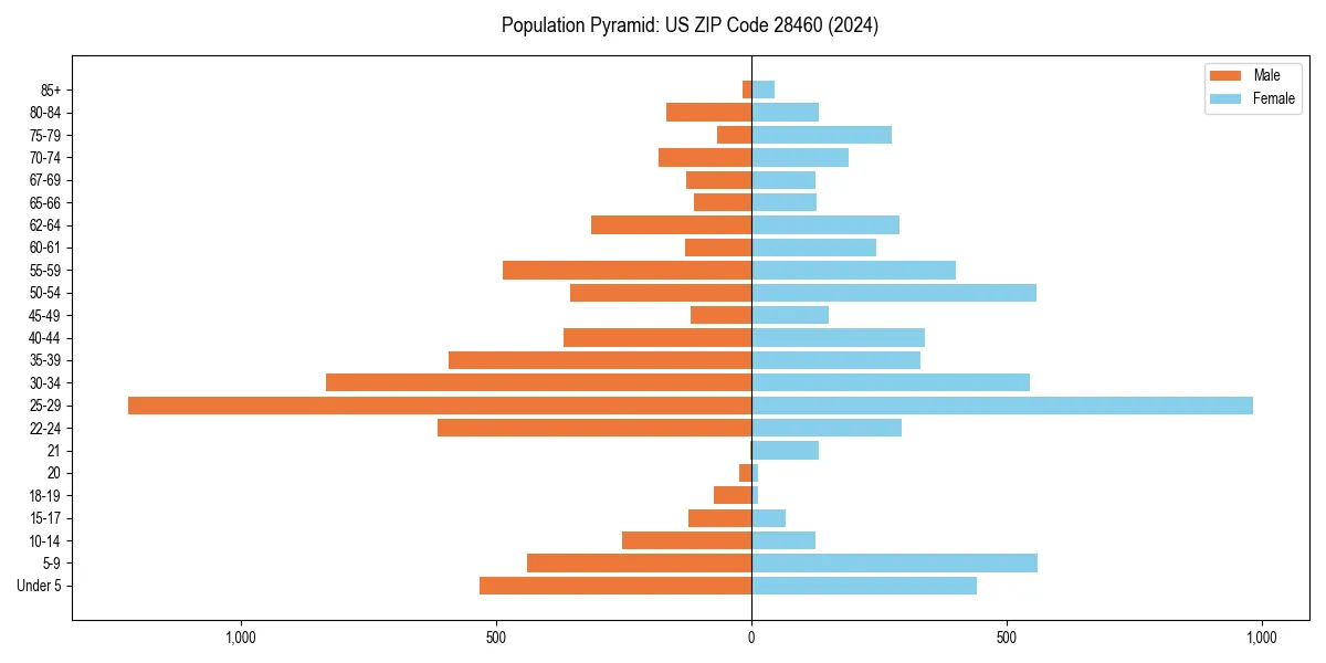 Population pyramid for 