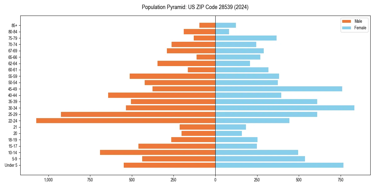 Population pyramid for 