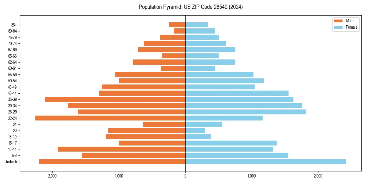Population pyramid for 