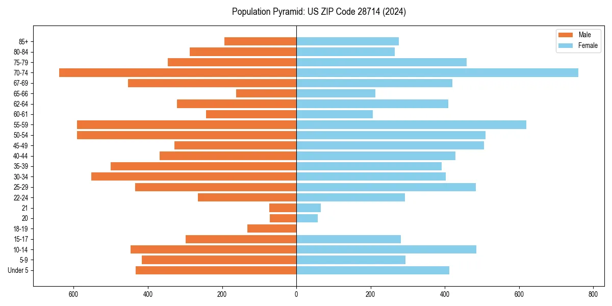 Population pyramid for 