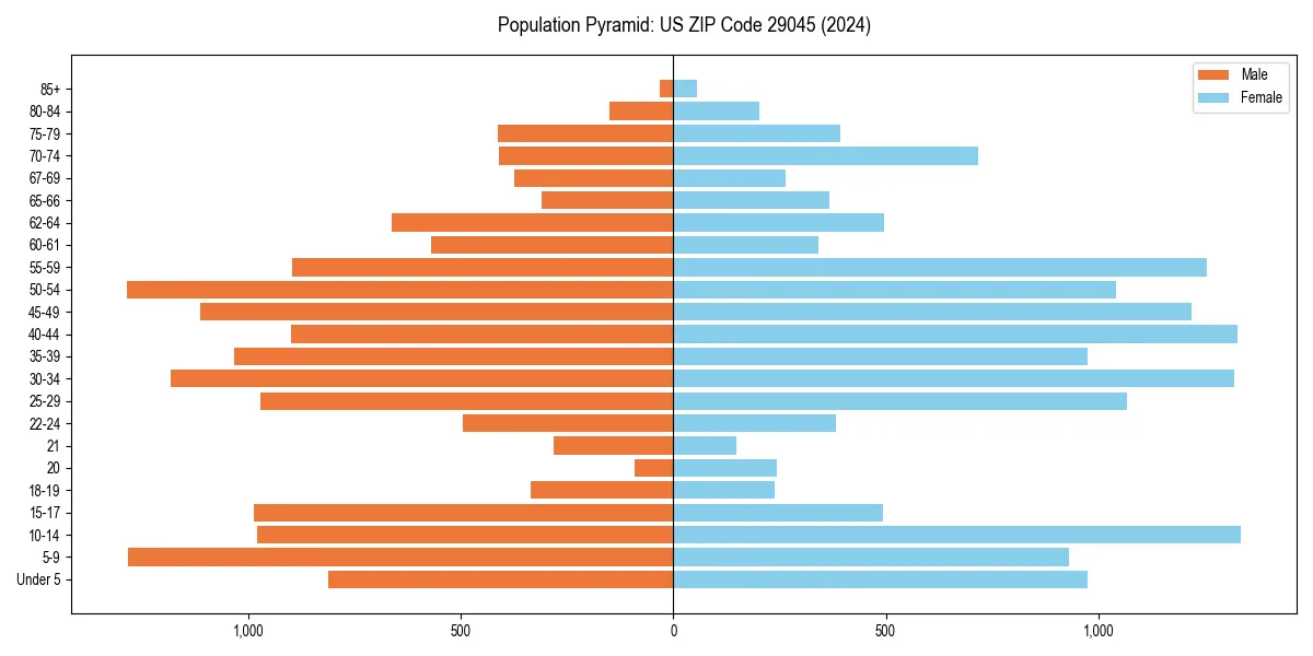 Population pyramid for 