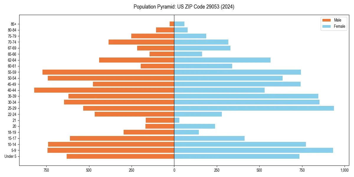 Population pyramid for 