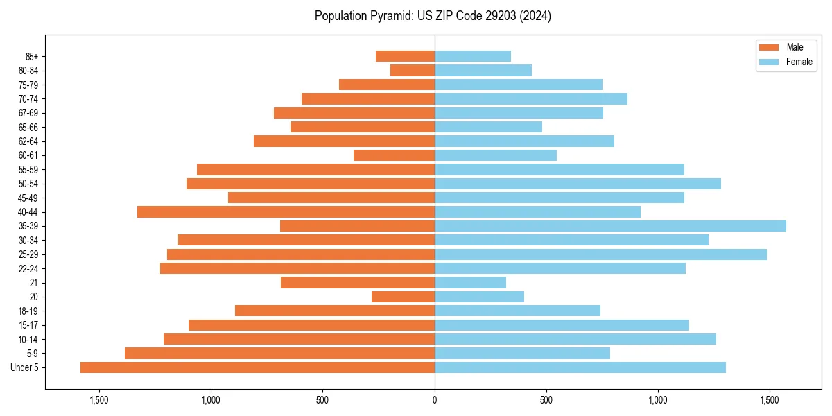 Population pyramid for 