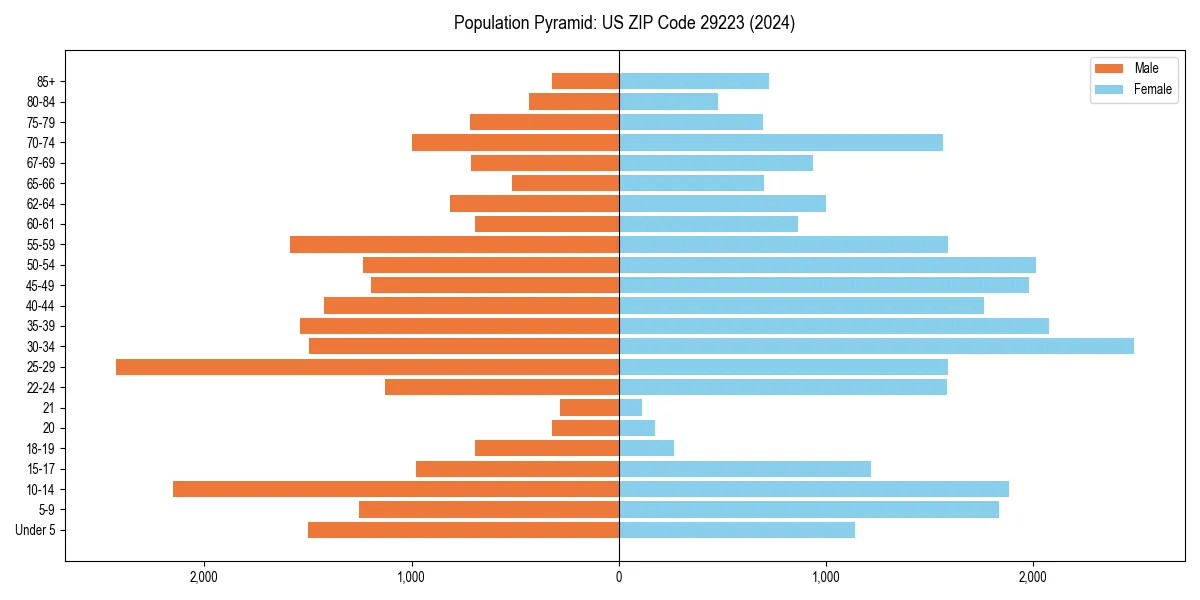 Population pyramid for 