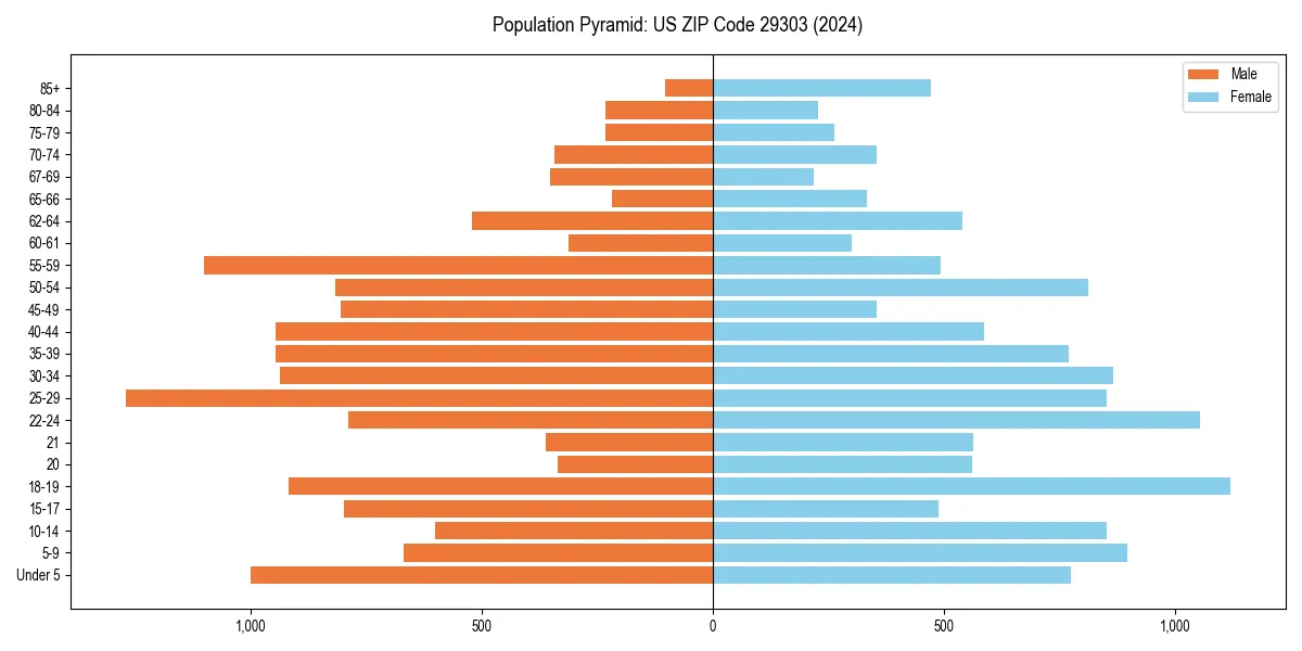 Population pyramid for 