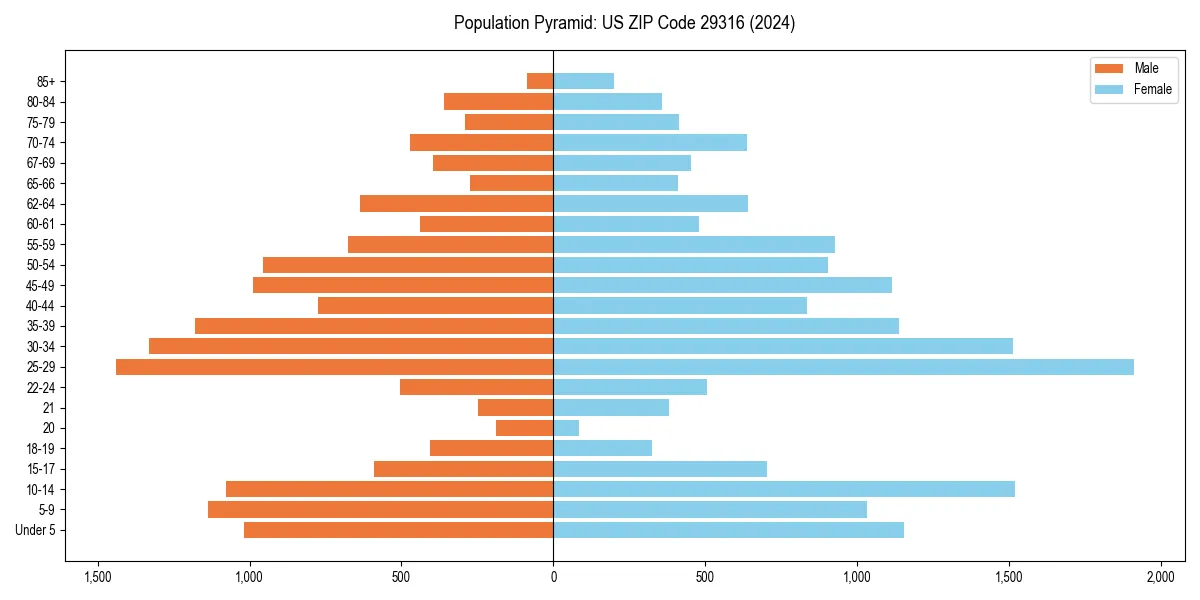 Population pyramid for 