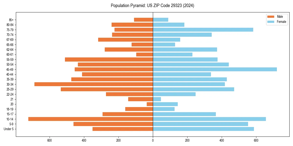 Population pyramid for 