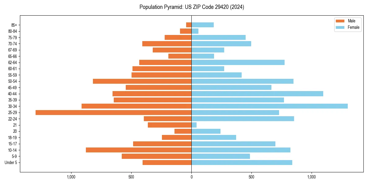 Population pyramid for 
