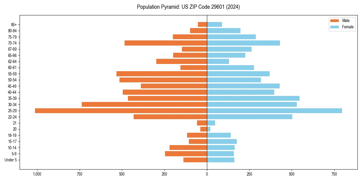 Population pyramid for 