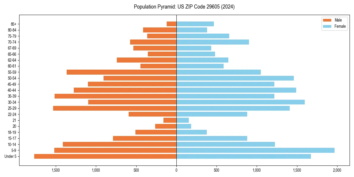 Population pyramid for 
