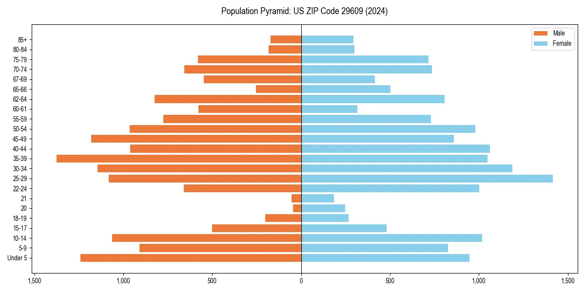Population pyramid for 