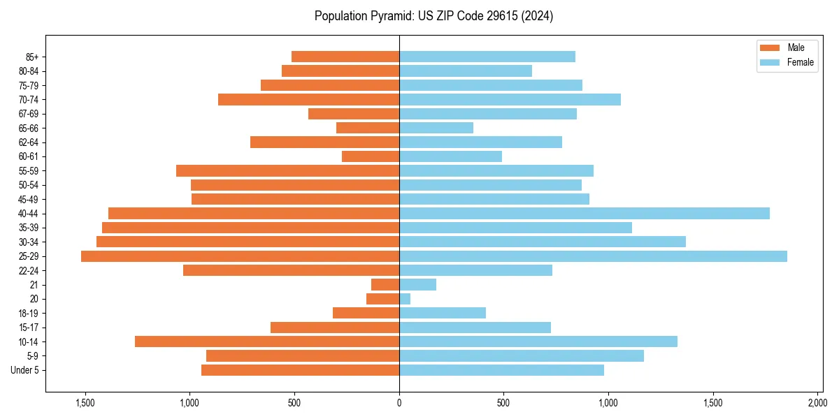 Population pyramid for 
