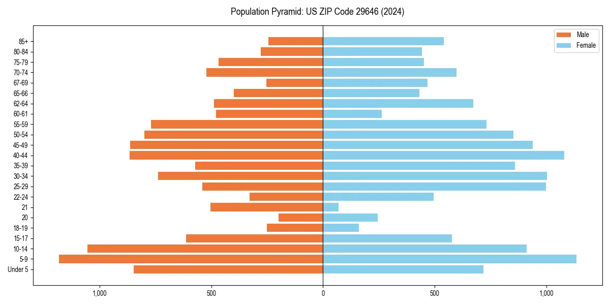 Population pyramid for 