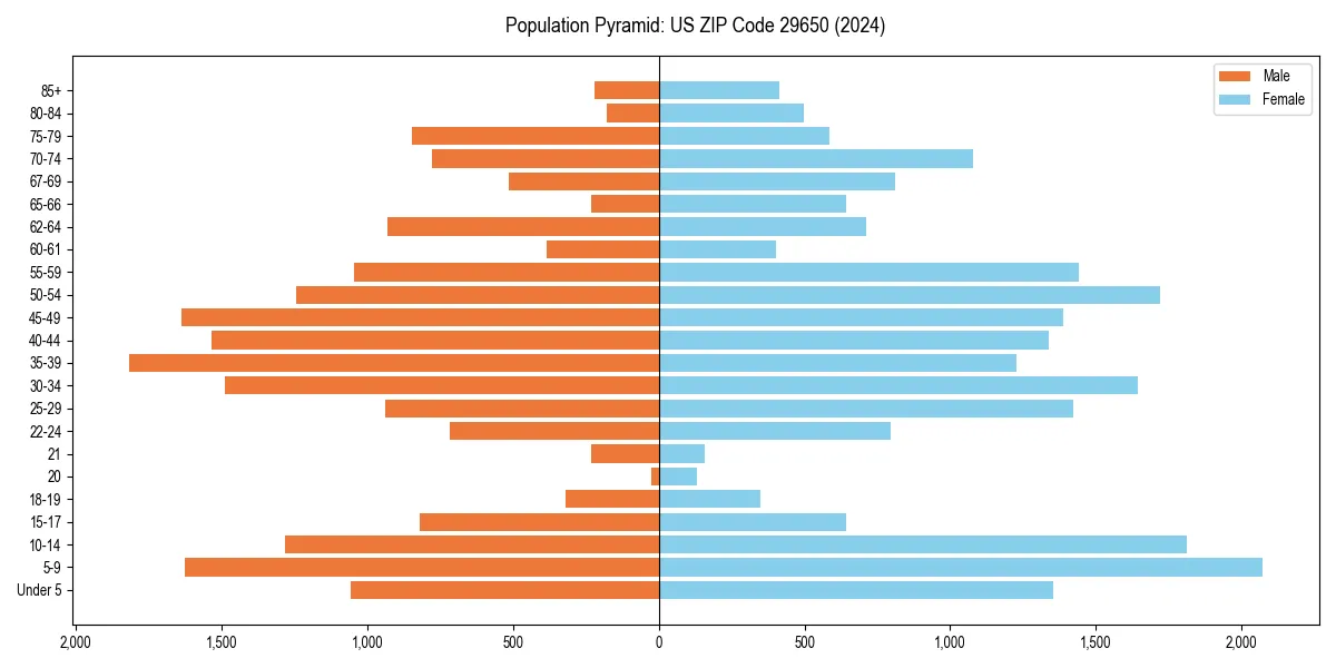 Population pyramid for 
