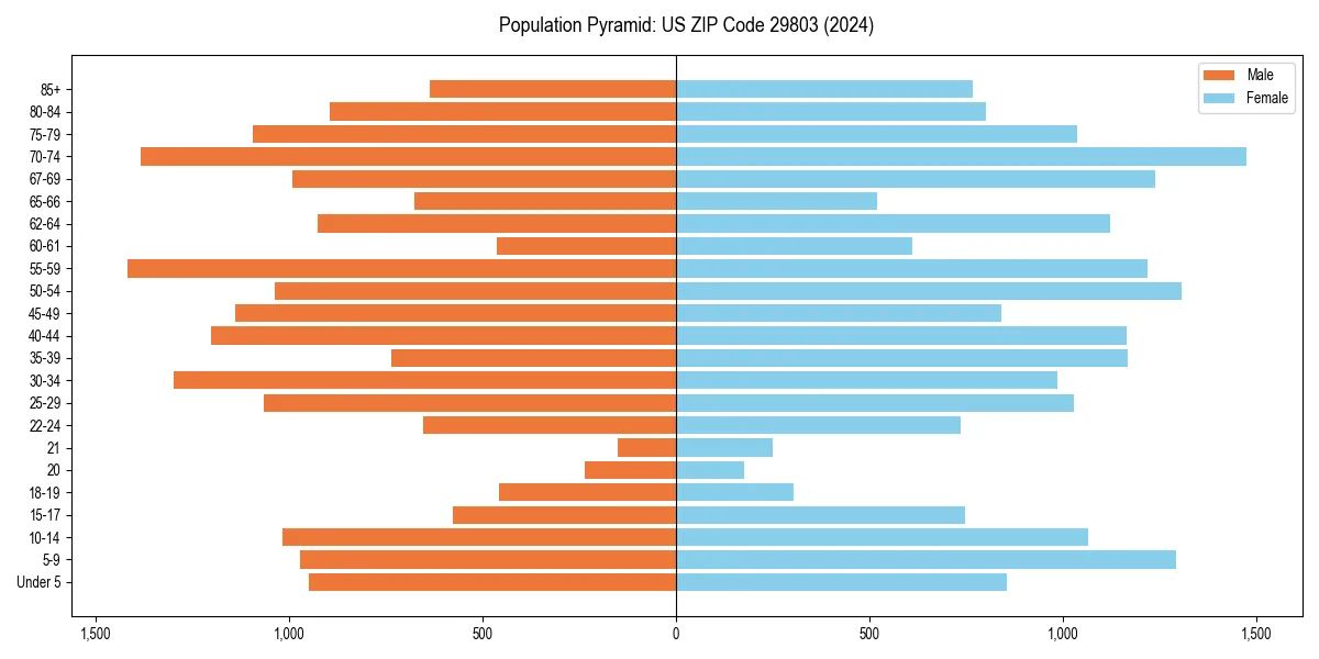 Population pyramid for 