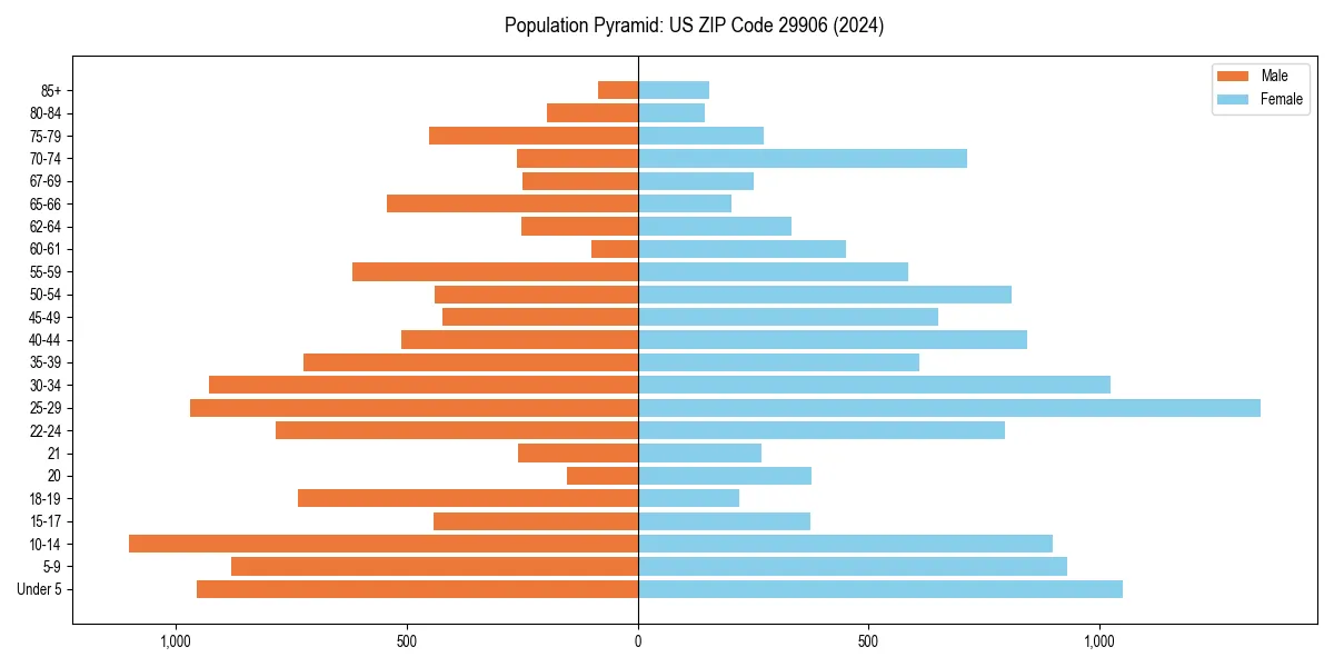 Population pyramid for 