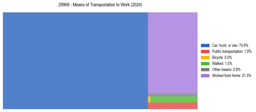 Commute modes in US ZIP Code 29909