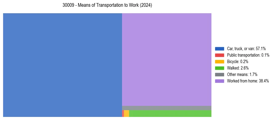 Commute modes in US ZIP Code 30009