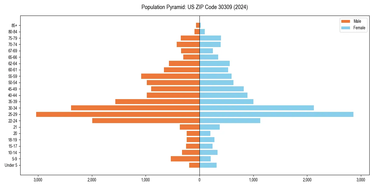 Population pyramid for 