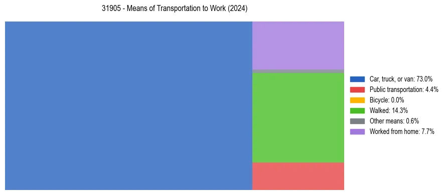 Commute modes in US ZIP Code 31905