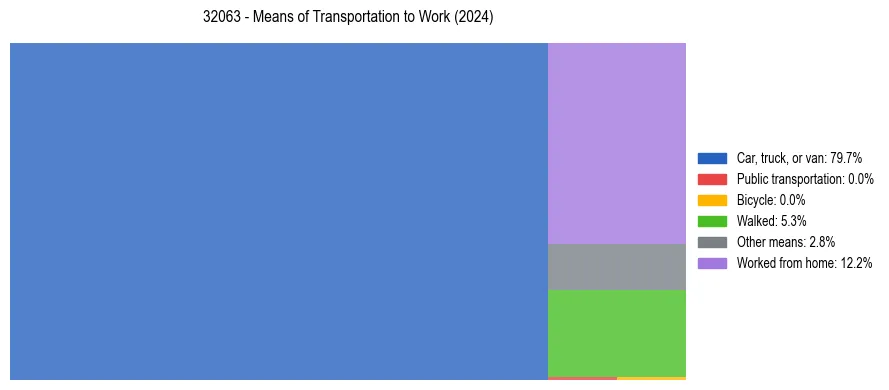 Commute modes in US ZIP Code 32063