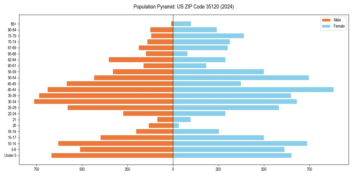 Population pyramid for 