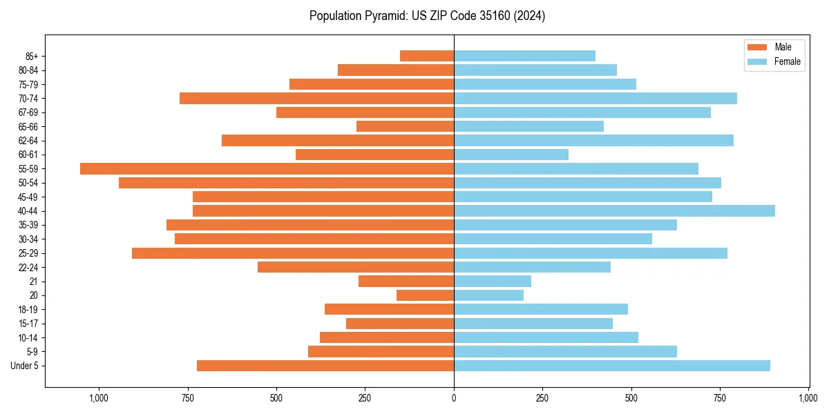 Population pyramid for 